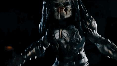 predator gif